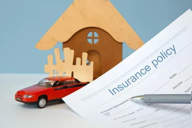 Person reviewing auto insurance policy.webp
