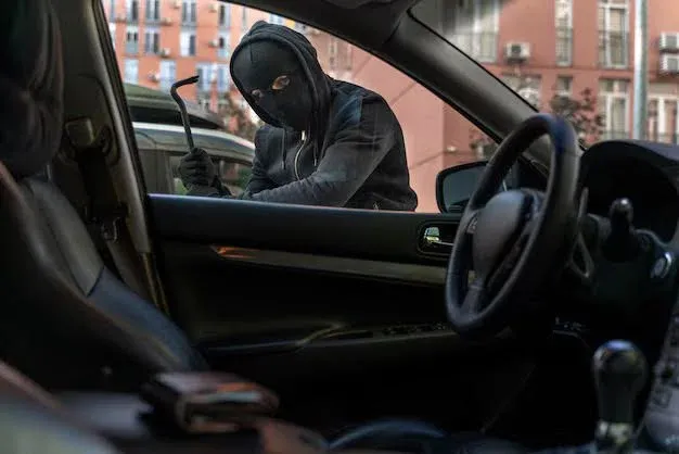 car thief.webp