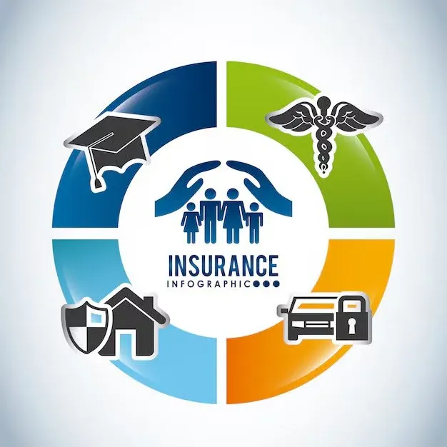 insurance infographic.webp